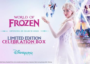 Disneyland Paris Frozen Celebration Box